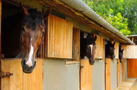 free Osterley stable construction quotes
